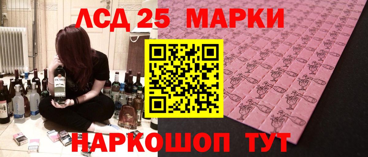 Псилоцибиновые грибы Кисловодск
