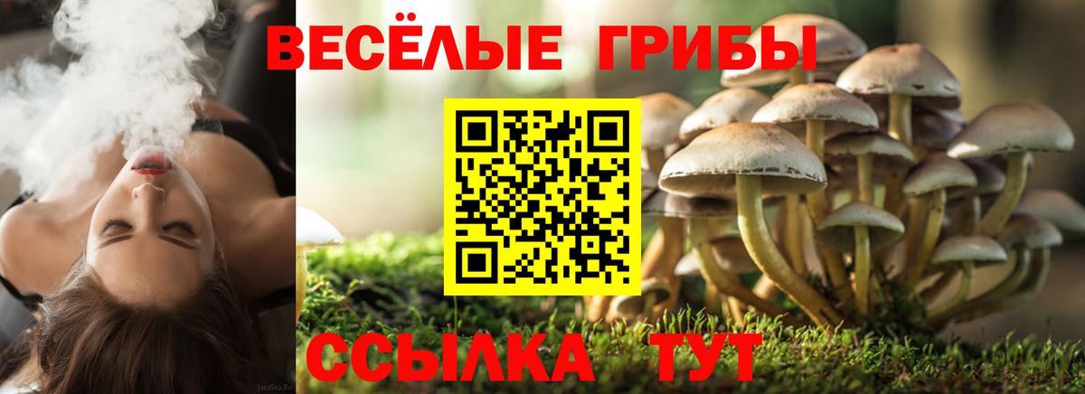 Псилоцибиновые грибы MAGIC MUSHROOMS  Вход с VPN  Кисловодск 