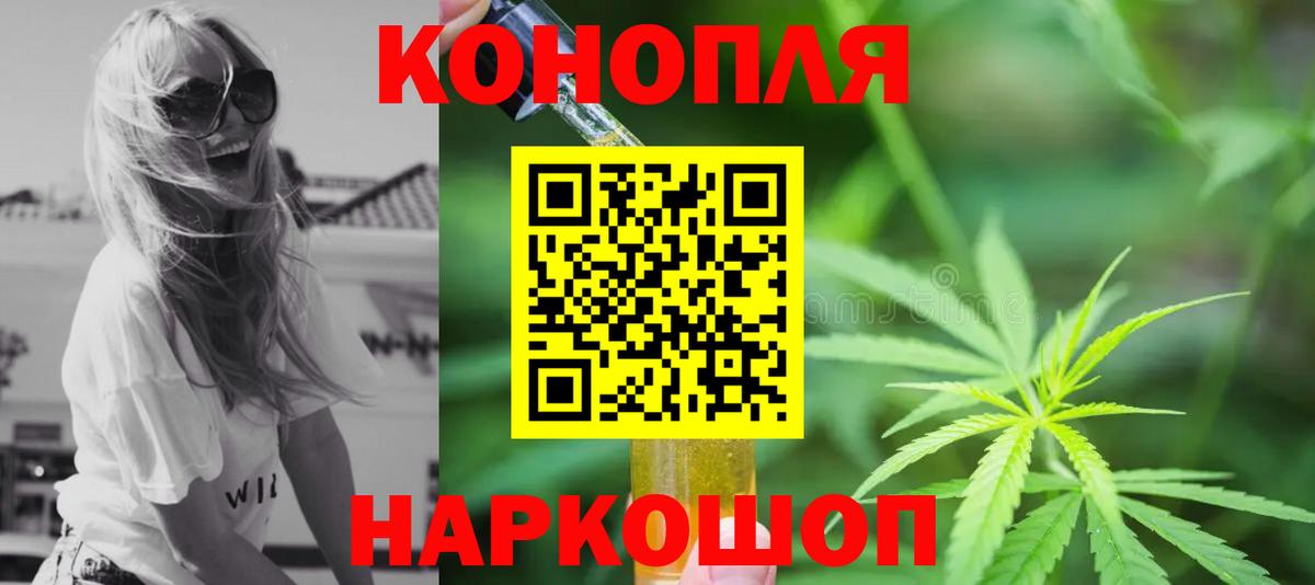 Каннабис гибрид Кисловодск